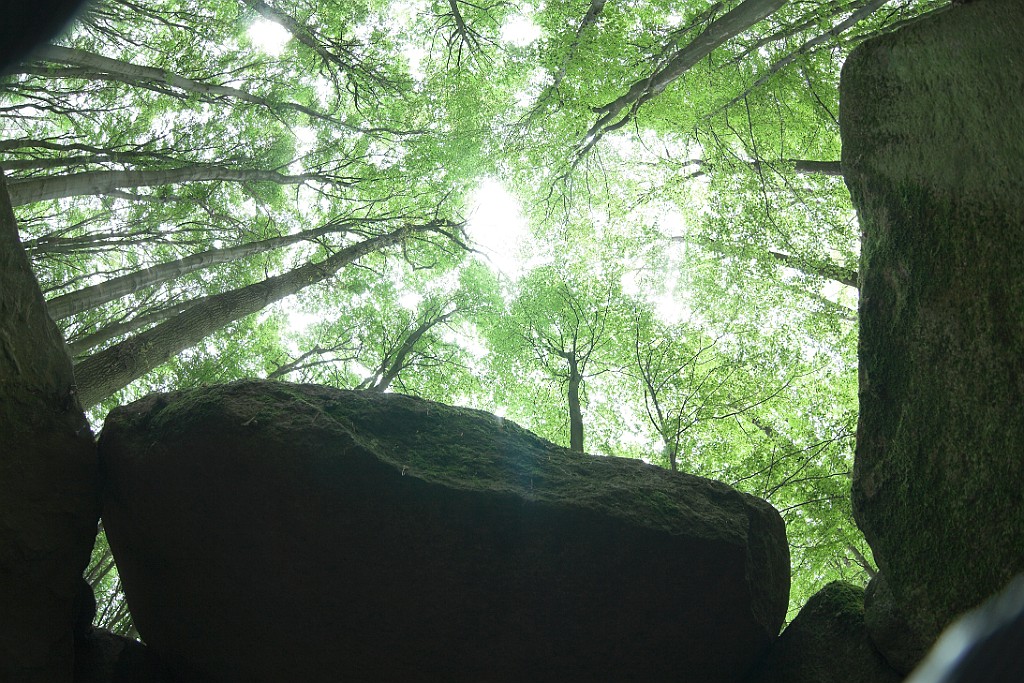 Huenengrab.jpg - Mit einem Superweitwinklel-Objektiv (Zenitar 16 mm) aus einem Hünengrab nach oben fofografiert.